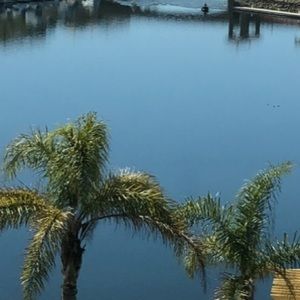 Meet your Posher, Krystie